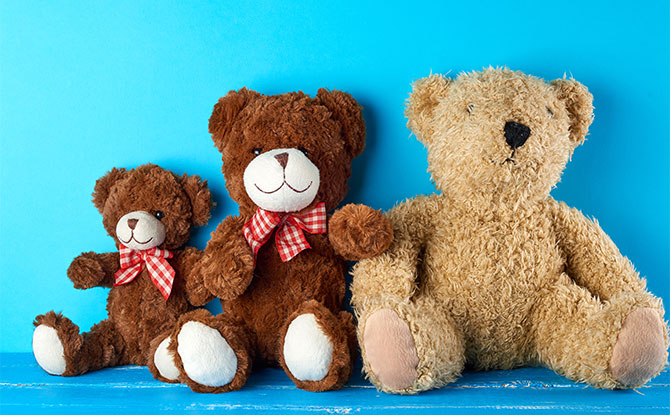 Donate Soft Toys to Local Shelters or Hospitals