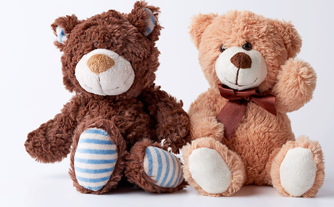 Donate Your Old Soft Toys to Charity