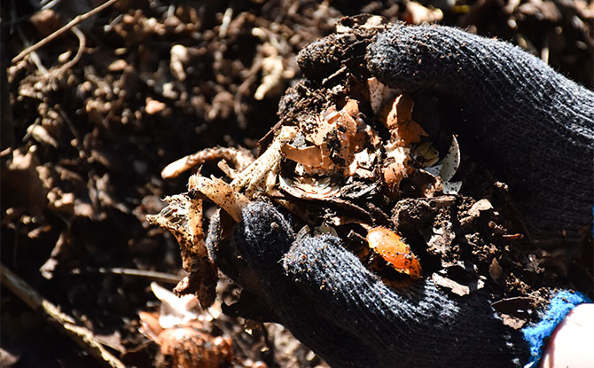 Speeding Up the Composting Process