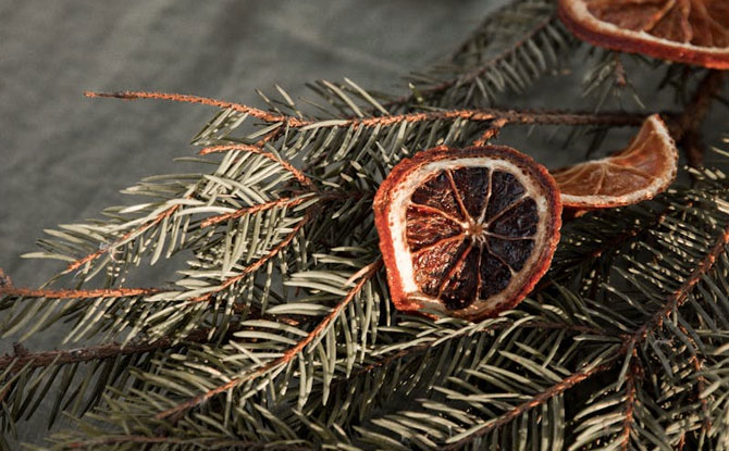 Zero Waste Christmas Gifts for Plant Lovers