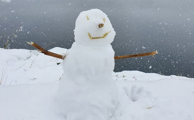 Creative Snow Sculptures Using Natural Materials