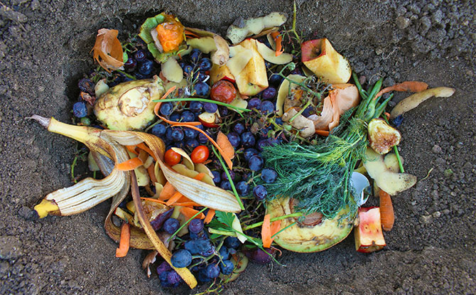 Your Guide on How to Start Composting – Easy Steps!