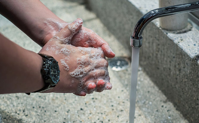 Solid Bar Soaps vs Liquid Soaps: Which Is Best?