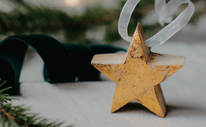 Eco-Friendly Compostable Christmas Decorations